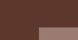 Terre de Sienne brûlée - PR101