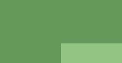 Vert brillant - PY3 PW6 PY65 PB15:0