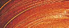 Orange oxyde transparent - PY42/PR101
