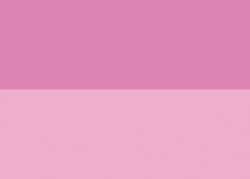 Roze quinacridone (PW6, PR122)