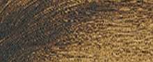 Terre d´ombre naturelle - PY42/PR101/PBk11