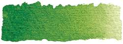 Vert de vessie - PG7, PY153