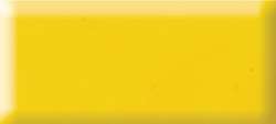 Jaune Véritable