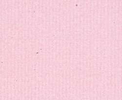 Hahnemühle Bugra pastelpapier, 130g, losse vellen, 43 x 53,5cm (min.10 vel), Erika 972