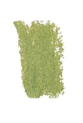Green-grey moss 170