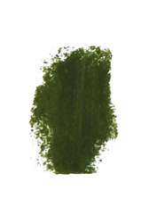 Leaf green 200