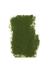 Leaf green 201