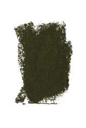 Olive grey 450