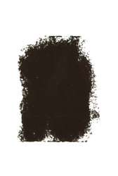 Raw Sienna 507