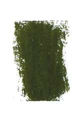 Green-grey moss 167