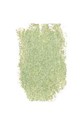 Green-grey moss 172