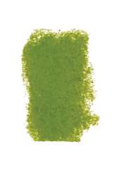 Brown to green 195