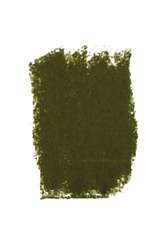 Yellowish green-grey 492