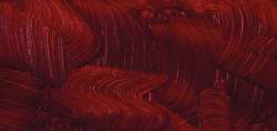 Rose brun - PR101, PR149