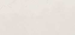 Blanc d’argent (substitut) - PW6
