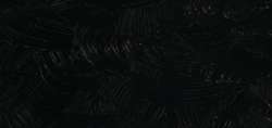 Noir ivoire - PBk9