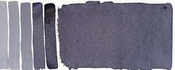 Jane's grey