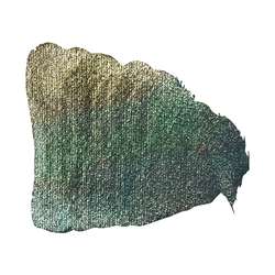 Bleu/vert/or caméléon - Coated Glass