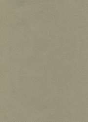 Hahnemühle | The Collection Ingres — pastelpapier ○ 100 g/m², pak met 10 vel, Mouse grey