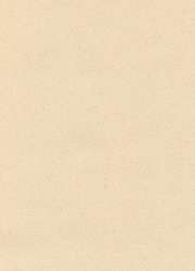 Hahnemühle | The Collection Ingres — pastelpapier ○ 100 g/m², pak met 10 vel, Rose pink