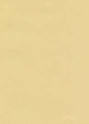 Hahnemühle | The Collection Ingres — pastelpapier ○ 100 g/m², pak met 10 vel, Yellowish