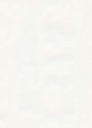 10 feuilles de papier Ingres Pastel The Collection, 48 x 62,5 cm - 10 feuilles, Blanc