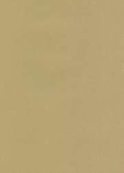 10 feuilles de papier Ingres Pastel The Collection, 48 x 62,5 cm - 10 feuilles, Gris sable