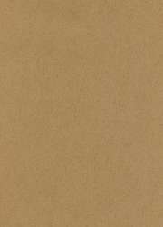10 feuilles de papier Ingres Pastel The Collection, 48 x 62,5 cm - 10 feuilles, Brun