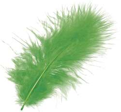 Vert