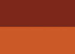 Chinese orange