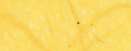 Jaune citron