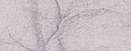 Gris clair