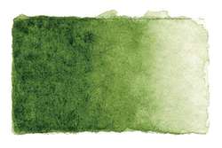 Peinture aquarelle Studio Gerstaecker, Godet 1/1, Vert olive
