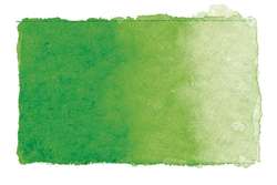 Peinture aquarelle Studio Gerstaecker, Godet 1/1, Vert-jaune