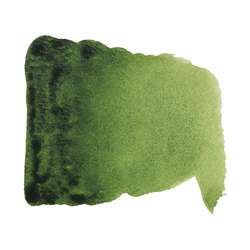 Vert de vessie - PY150/PG7