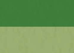 Permanent green light