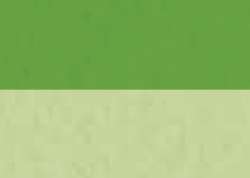 Bright yellow green