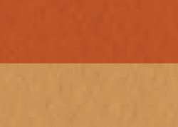 Raw Sienna