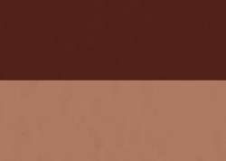 Burnt Sienna