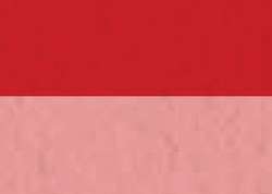 Cadmium red light hue