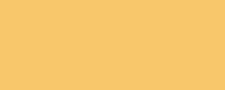 Feutre pinceau Pentel Color Brush, Orange clair