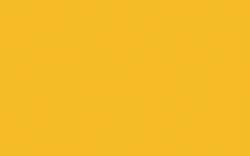 MOLOTOW™ | DRIPSTICK PERMANENT PAINT 860DS, Melon yellow
