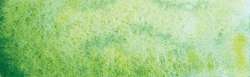 Vert plaine - PG18, PY159