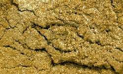 Or clair (20g)