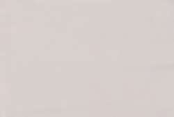 Blanc de titane buff foncé - PW6/PY42/PBk7