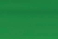 Vert de vessie - PG7