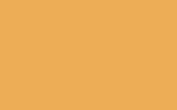Stylo encre gel Pilot G2, Orange