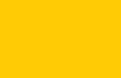 Cadmium yellow medium hue