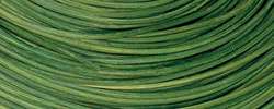 Gekleurd rotan