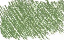 Light green 4